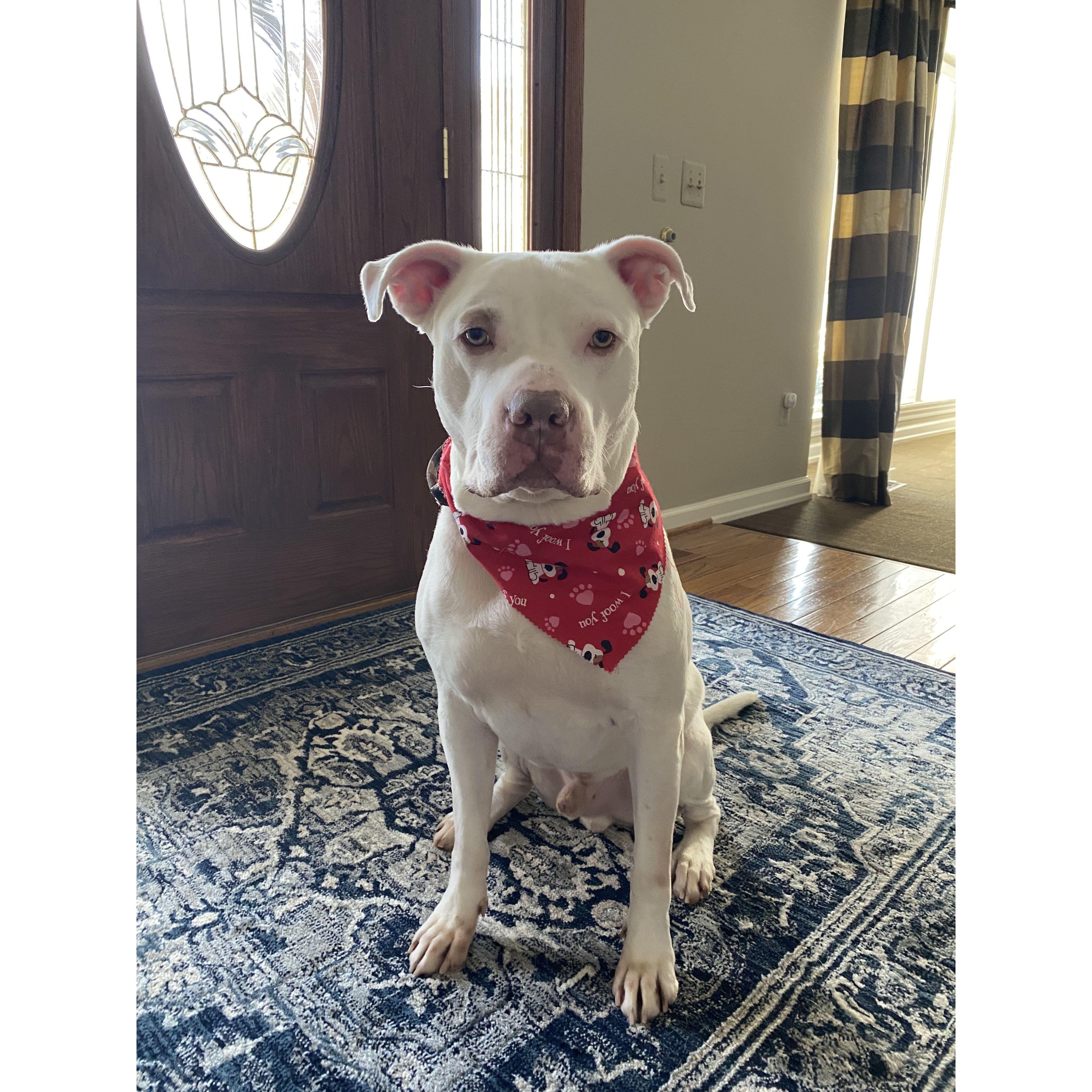 Zero after the groomer
