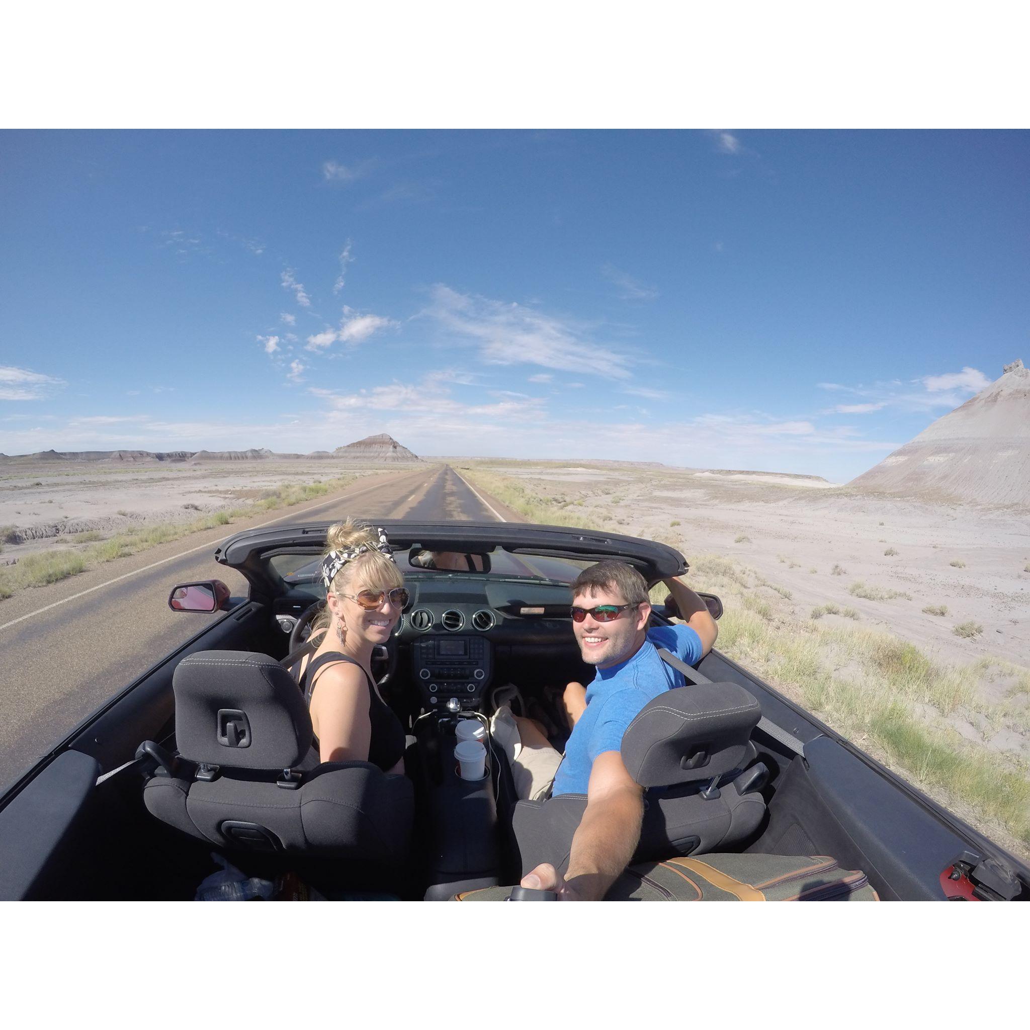 Petrified Forest National Park - 2015