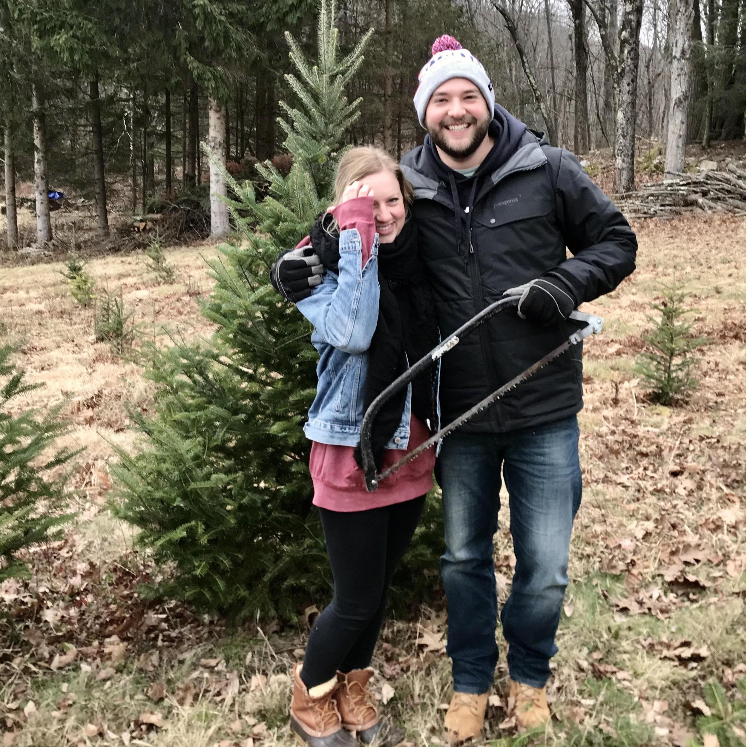 Cutting our Christmas Tree - 2019