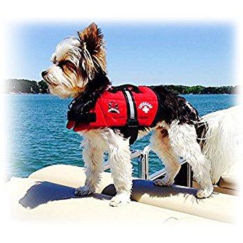 Outward Hound Standley Sport Experienced Swimmer Life Jacket for Dogs
