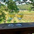 Hightower Creek Vineyards