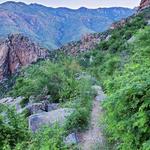 Sabino Canyon Recreation Area
