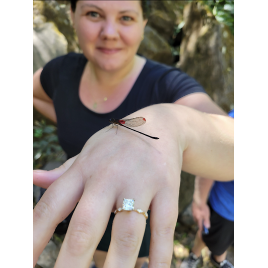 Lance picked out this ring all on his own! As he went to snap a picture, a dragonfly flew into frame for the perfect photo.