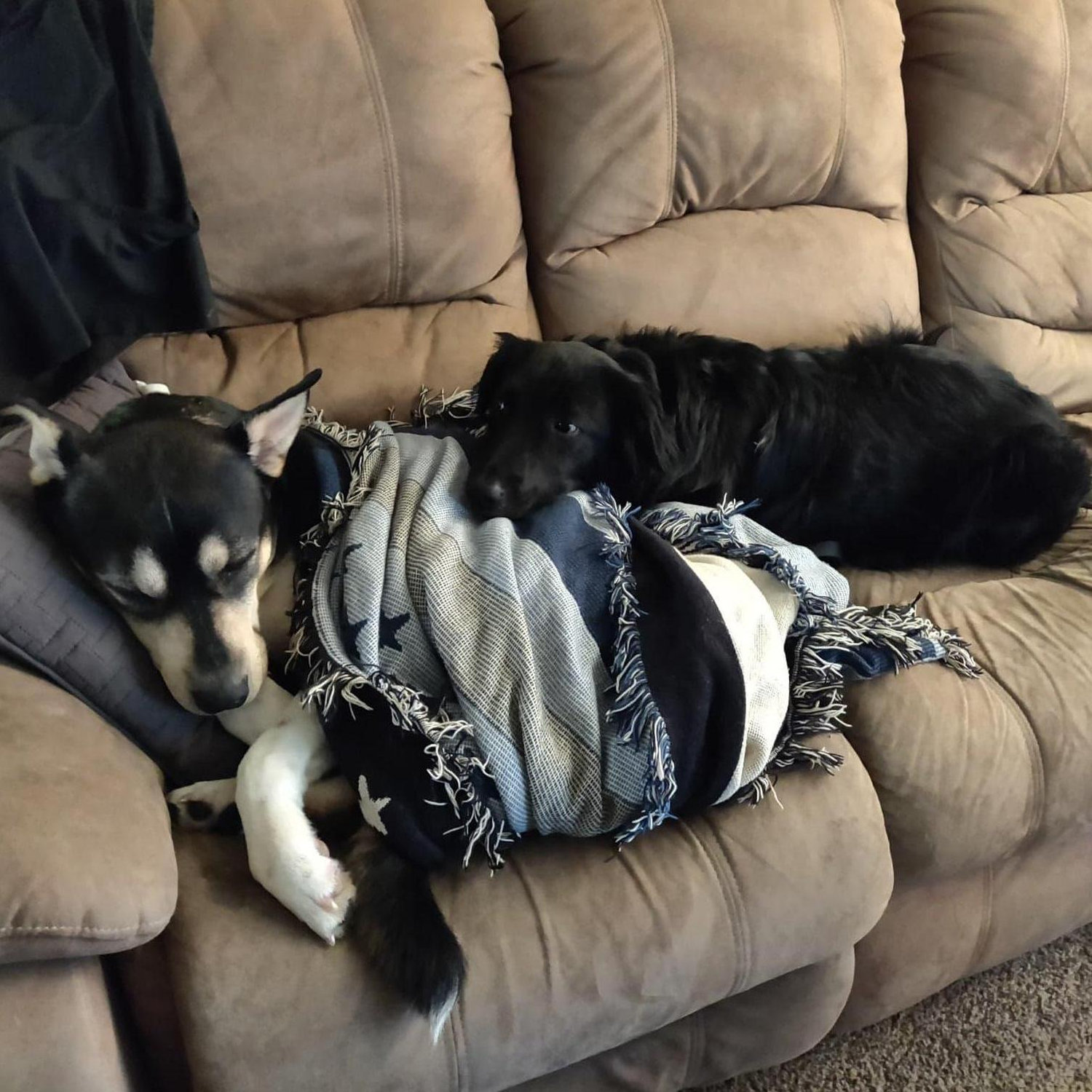 Ares (left) and Mira (right)