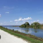 Lake Apopka Wildlife Drive
