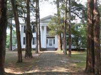 Rowan Oak