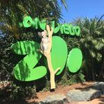 Go to the San Diego Zoo & Balboa Park