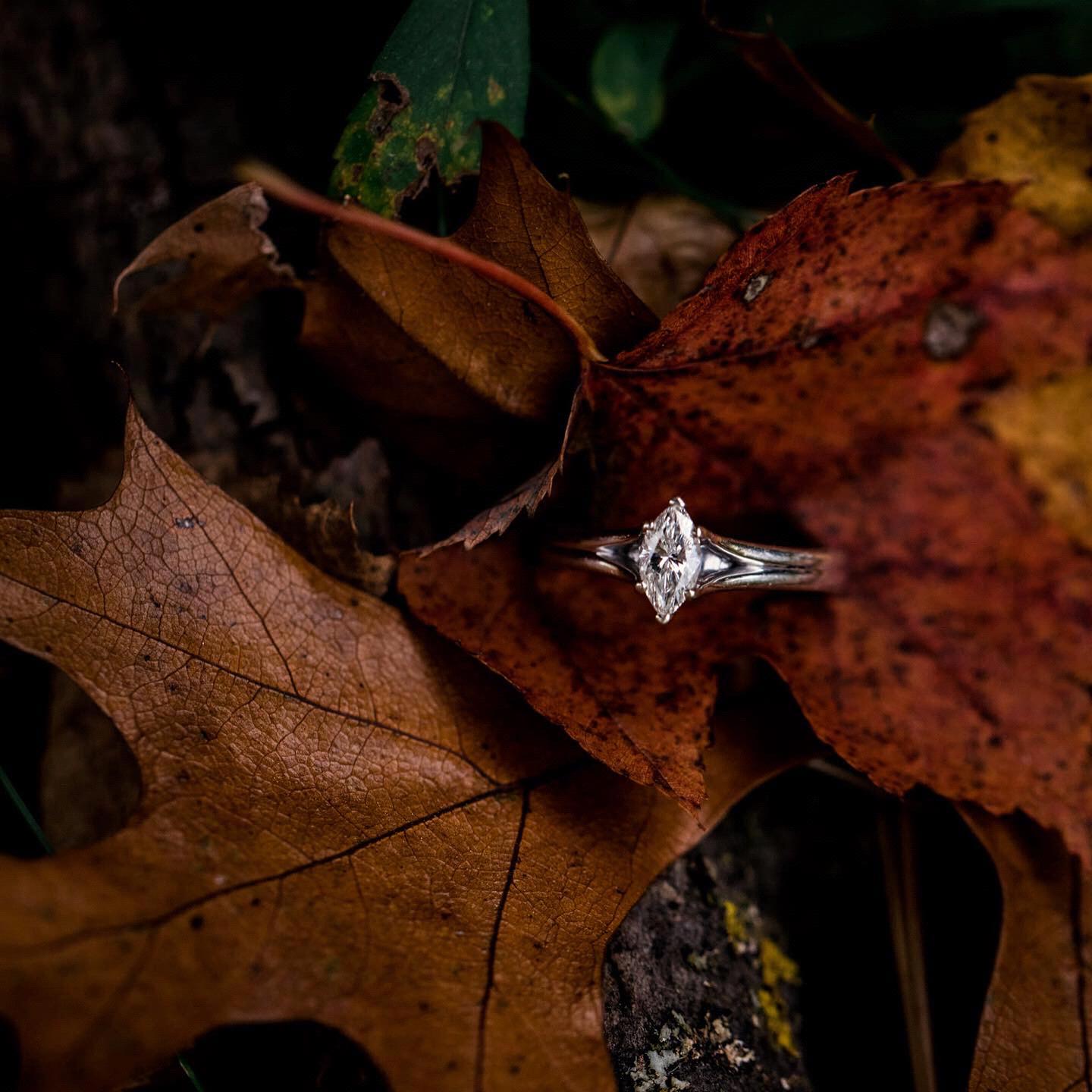 The ring! Jeweler: TQ Diamonds. Photo credit: Dutcher Photography.