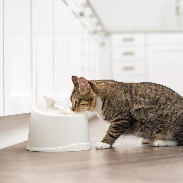 Pet Fountain Automatic Water Dish