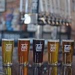 Island City Brewing Company