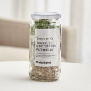 DIY Terrarium Kit
