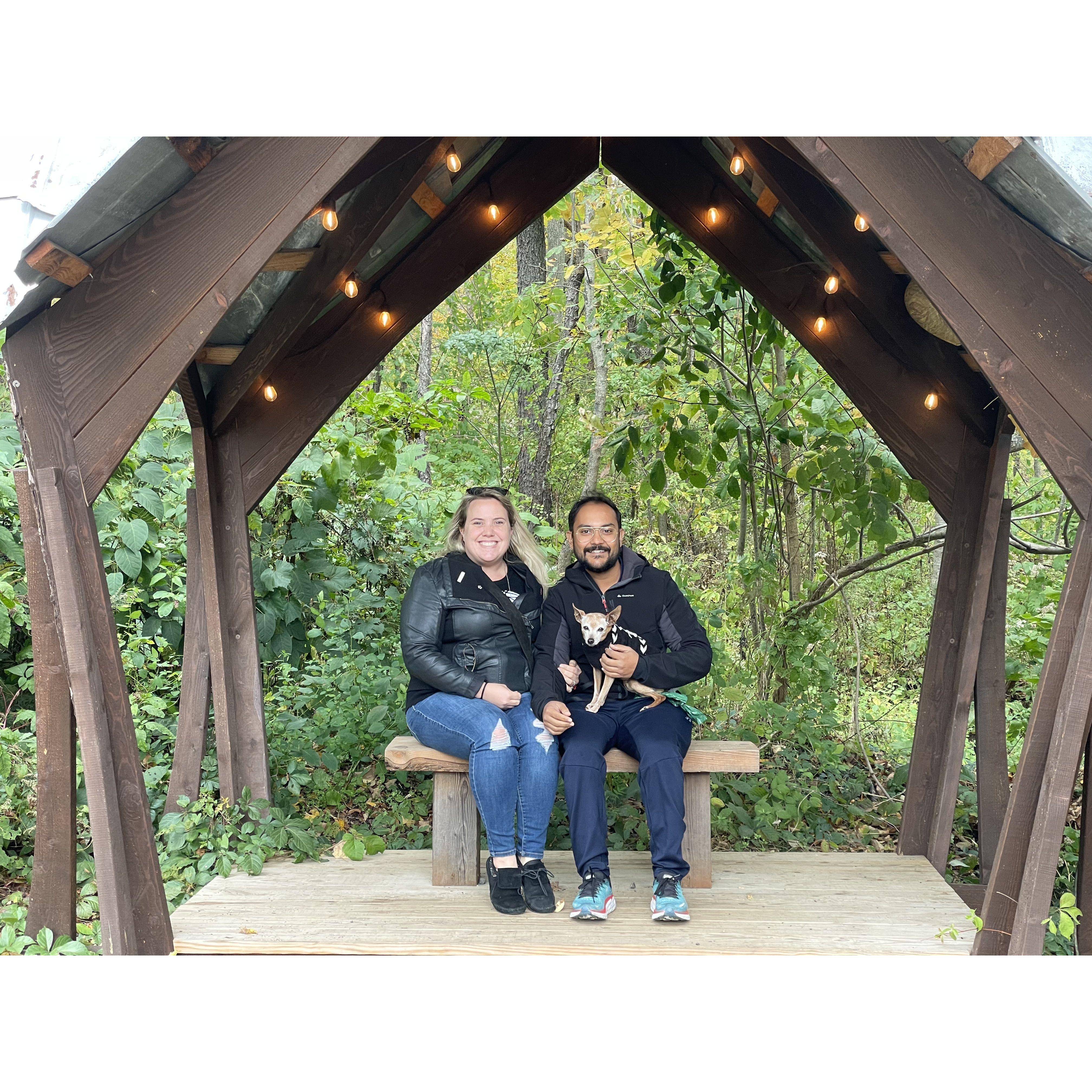 Treehouse adventures with Mello!