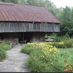 The Lily Barn