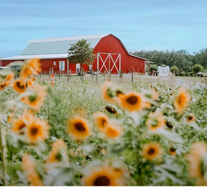 The Wedding Website of Kelly DeAngelis and Roz Tyre