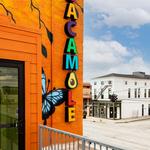 Guaca Mole Modern Mexican