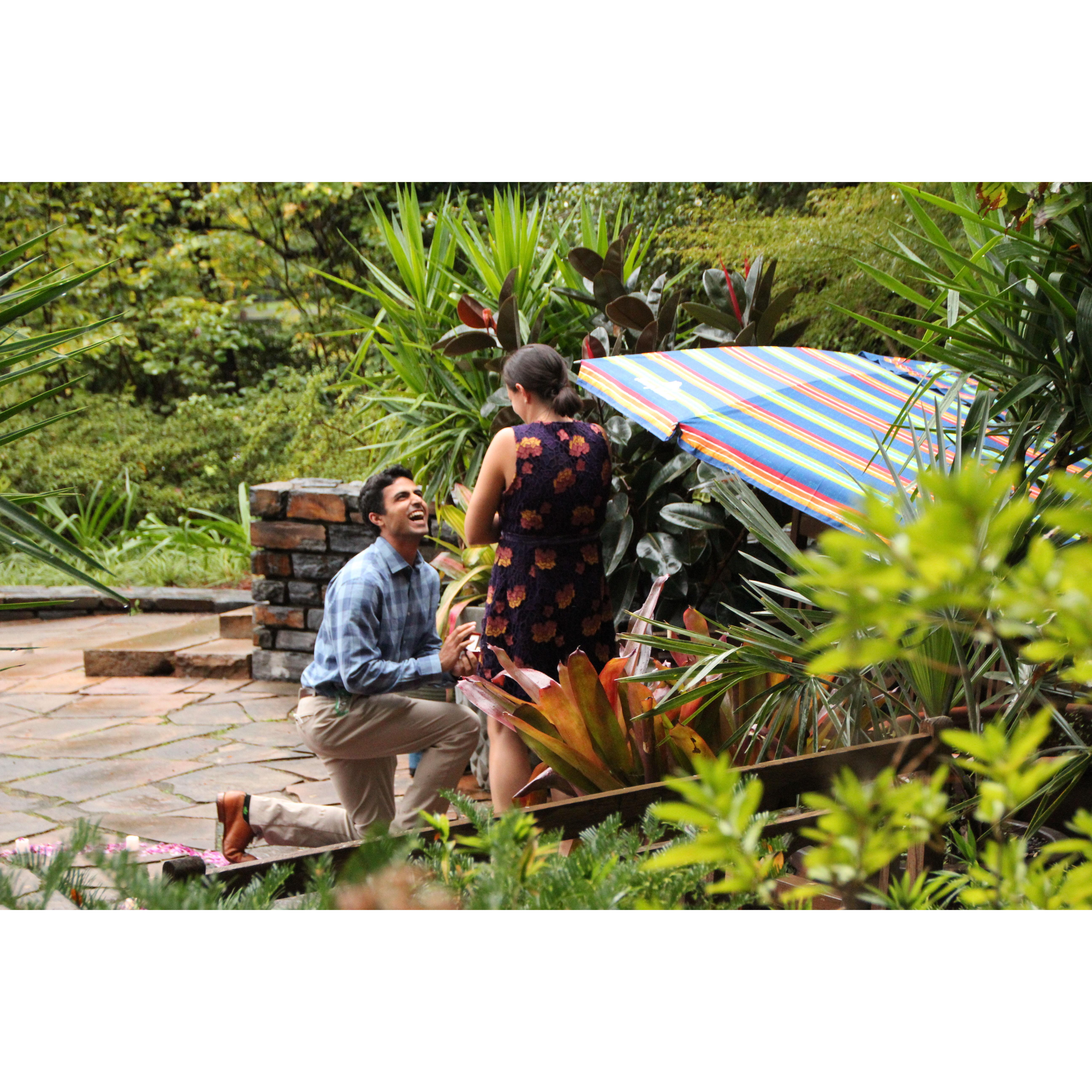 Bijan proposed to Rebecca in the Duke Gardens on October 9th 2021. He proposed to Rebecca after a day long scavenger hunt across Durham involving her favorite places and closest friends!