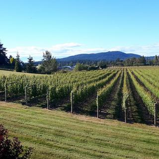 Private Victoria Wine Tasting Tour for 2 - British Columbia