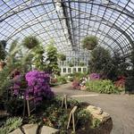 Garfield Park Conservatory