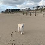 Fenwick Island