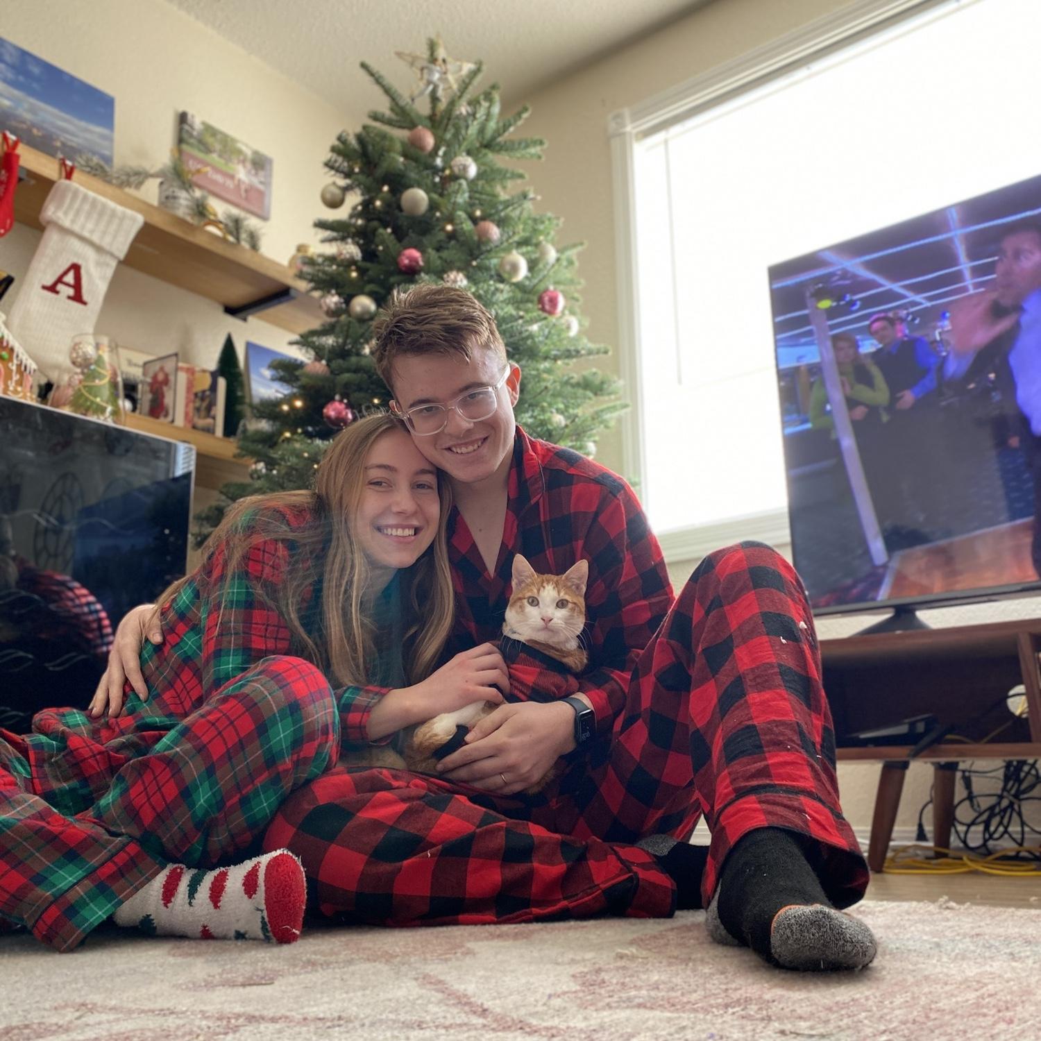 First Christmas in our house with our kitty, Cheese, December 2021