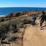 Torrey Pines State Natural Reserve