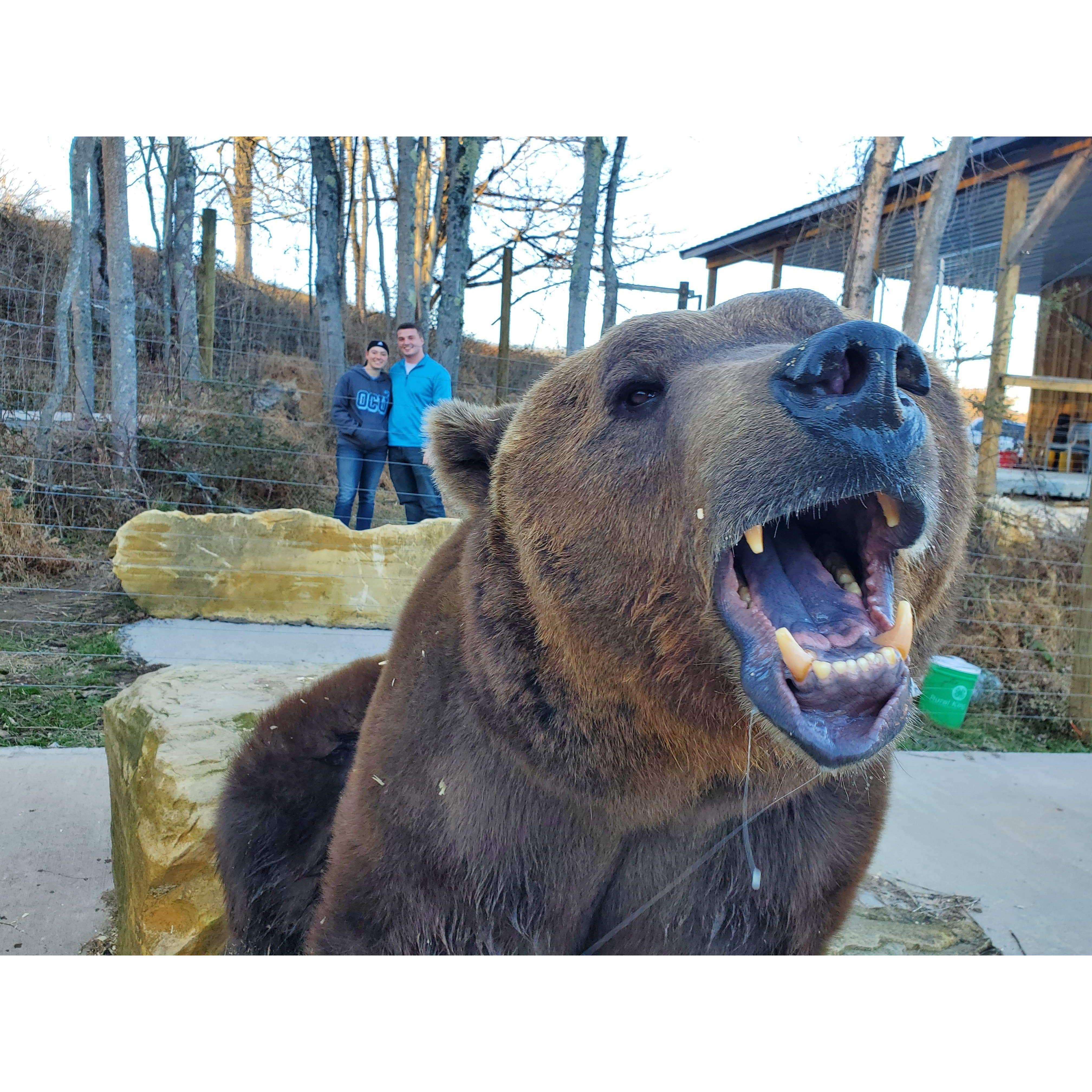 Bonus picture with the posing bear. You can barely see us in the background but the Grizzly shines in this picture.