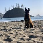 College Cove Beach