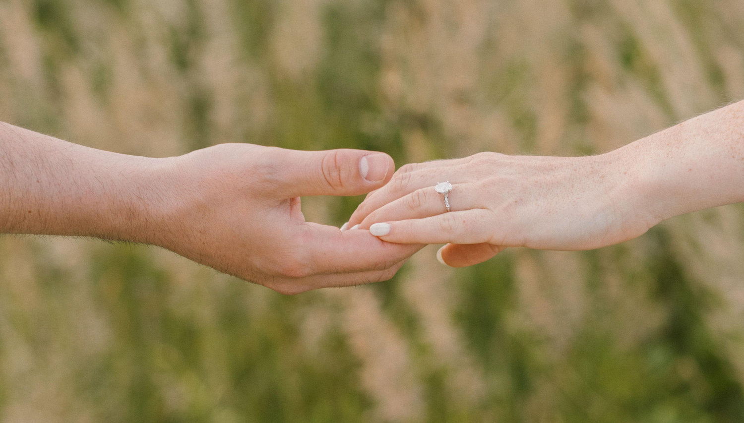 The Wedding Website of Julia McCormick and Jack O’Marra