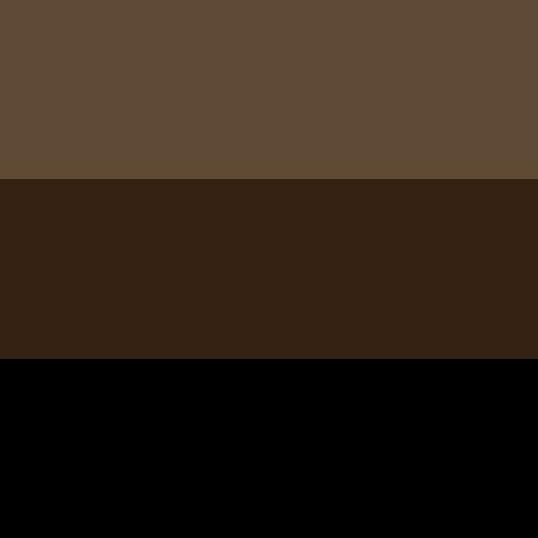 Colors: Black and Brown. We want to enhance the colonial structure of Casa de España so our guests can look and feel a part of the decoration.