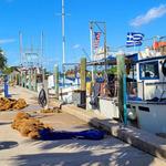Tarpon Springs FL