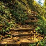 Parque chipinque