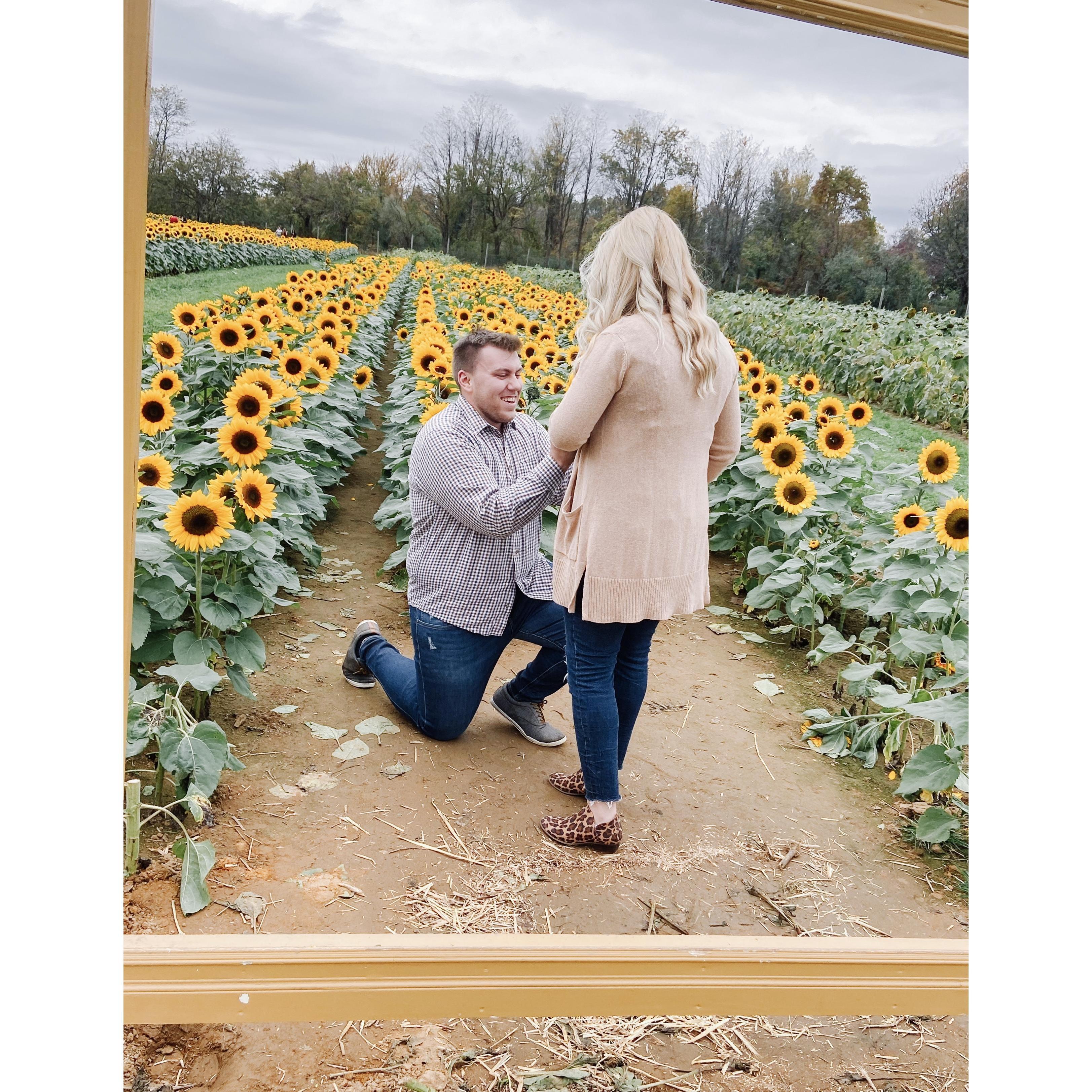 "He who finds a wife finds a good thing,
And obtains favor from the Lord."