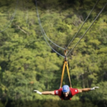 Canopy Tour from Playa Hermosa- Coco Beach