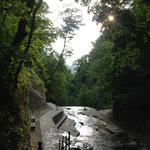Cascadilla Gorge
