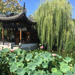 Lan Su Chinese Garden