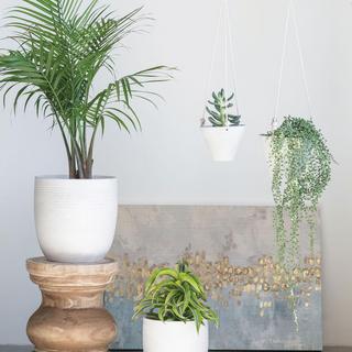 Embossed Stoneware Planter