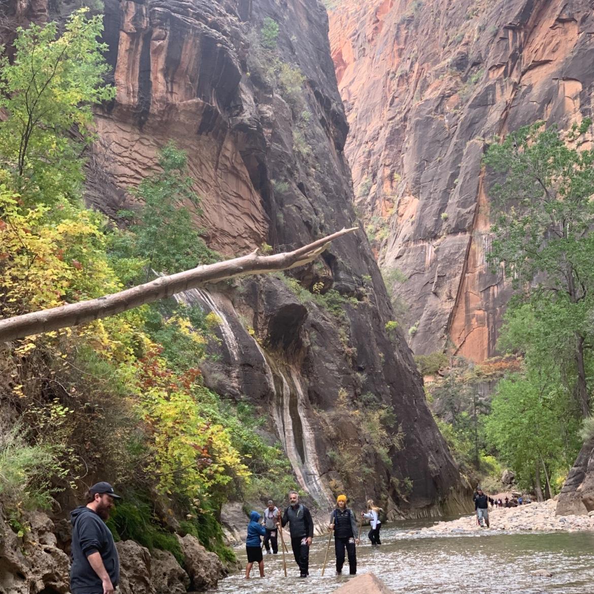 Road Trip 2019 (Zion National Park)