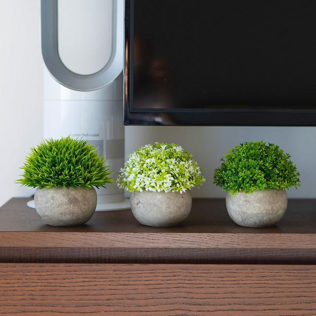 3 Piece Clover Trio Grass in Pot Set