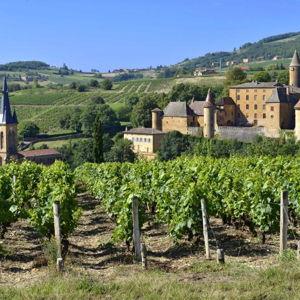 Honeymoon Fund: Wine Tastings in Beaujolais