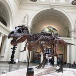 Field Museum