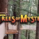Trees of Mystery Appreciation Park