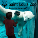 STL Zoo