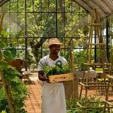 babylonstoren