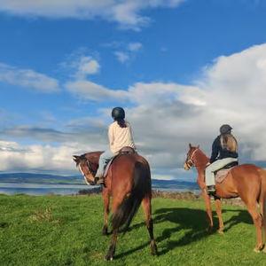 Scenic Horse Trek
