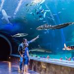 Loveland Living Planet Aquarium