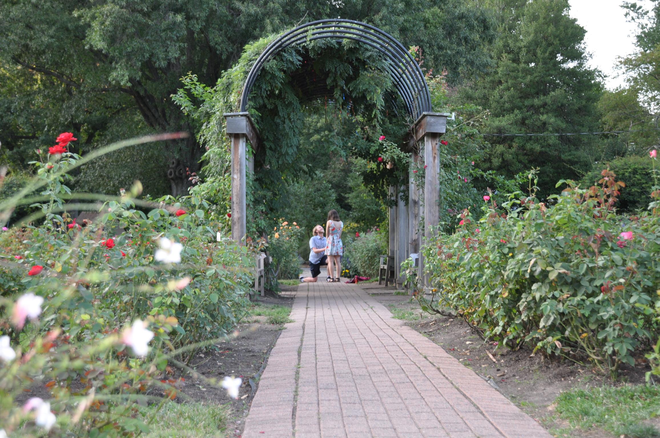 The Wedding Website of Johanna Wassermann and Alexander Bednar