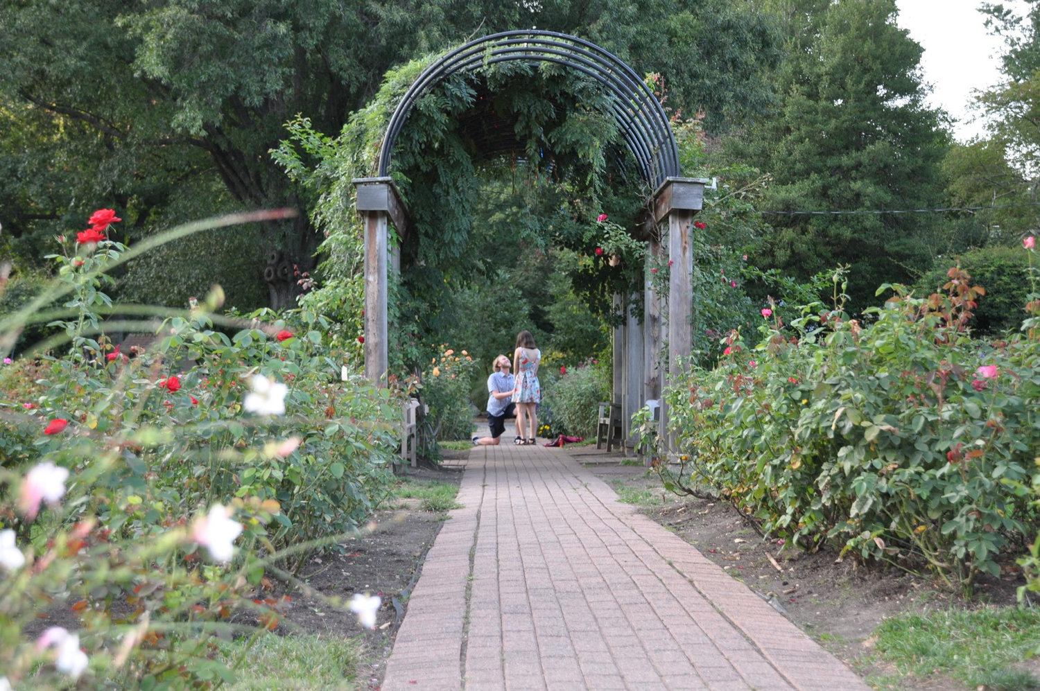 The Wedding Website of Johanna Wassermann and Alexander Bednar