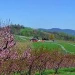 Carter Mountain Orchard