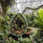 Marie Selby Botanical Gardens