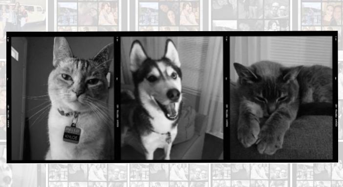 Footer image